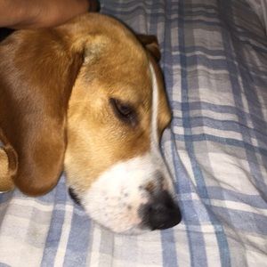 Meet your Posher, Javier